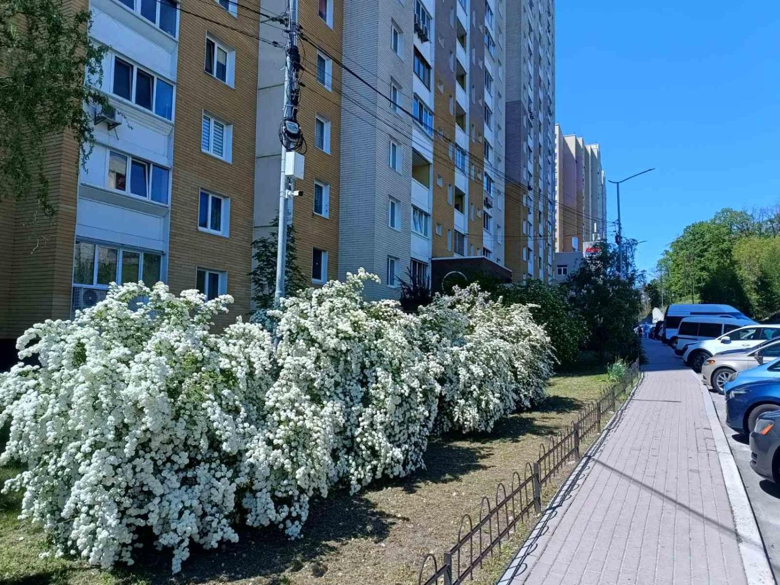 Uptown-Квартира วิชโฮรอด ภายนอก รูปภาพ